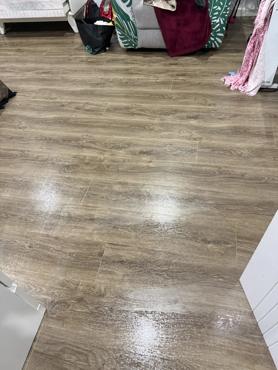 iCleanPro team delivering professional cleaning in Sydney